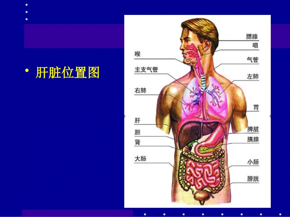 肝癌介入治疗(1)_第2页