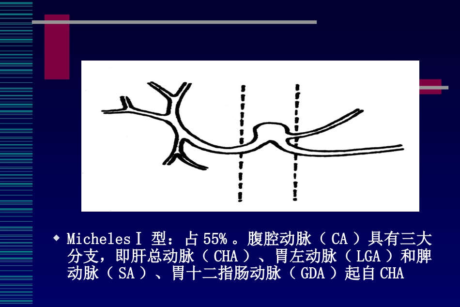 肝癌介入治疗(6)_第14页