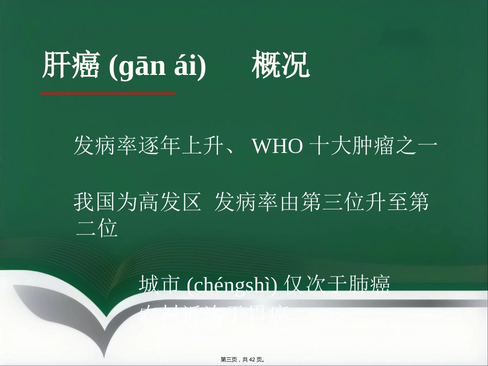 肝癌射频消融及介入治疗(共42张PPT)_第3页