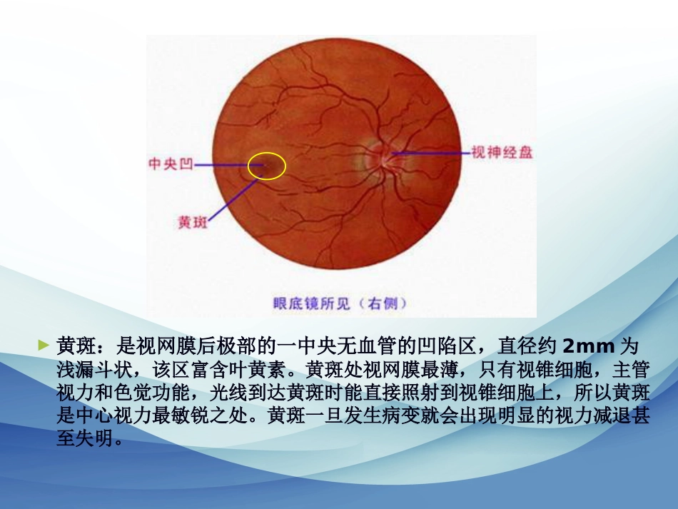 老年性黄斑变性标准版_第4页