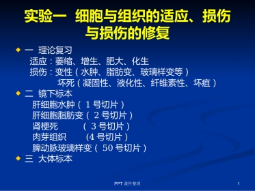 病理学图谱 实验一、细胞组织的适应、损伤与损伤修复