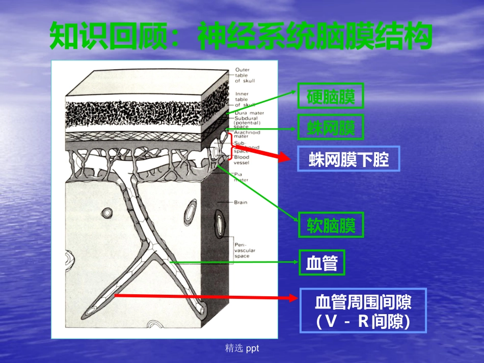 病理学神经系统疾病_第4页