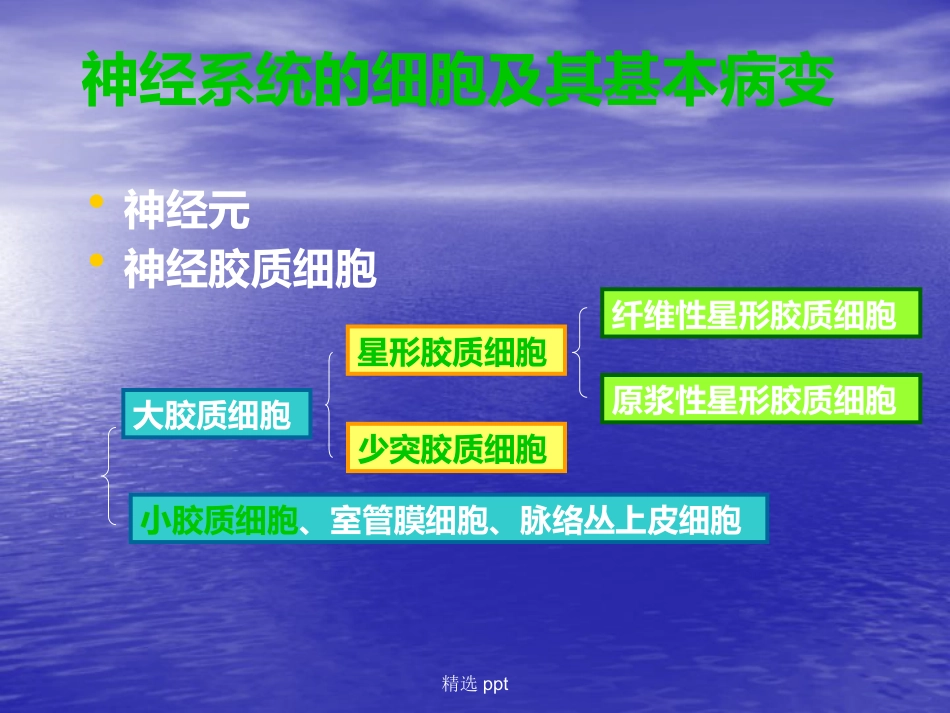 病理学神经系统疾病_第6页