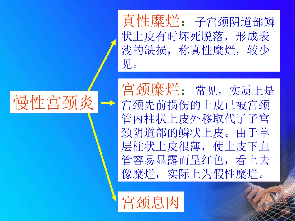 病理学-生殖系统和乳腺疾病_第8页