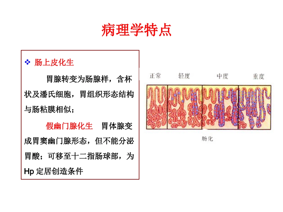 病理学胃炎胃溃疡_第10页