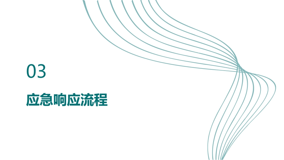 信息系统故障应急预案及流程_第13页