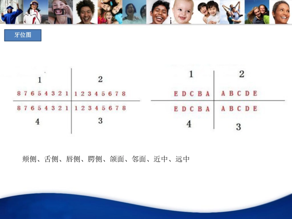 口腔培训019.口腔基础知识_第6页