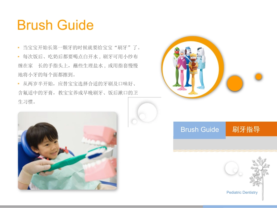 口腔培训029.儿童齿科生长发育_第14页