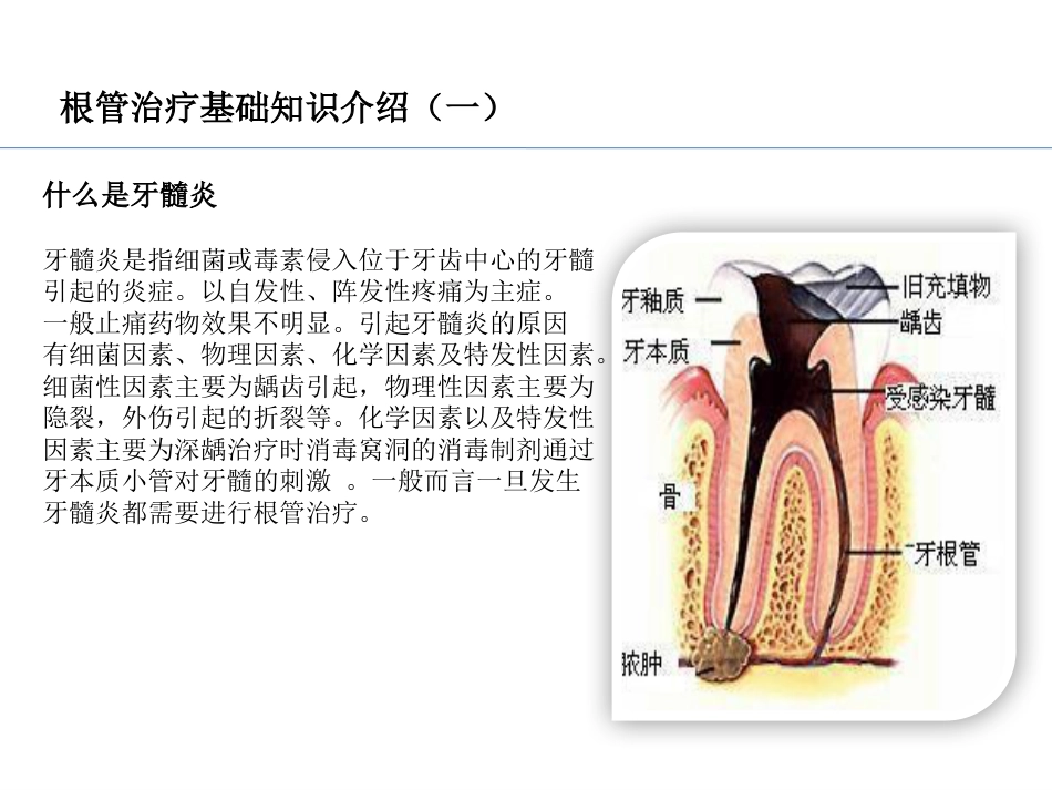 口腔培训037.RCT根管治疗_第2页