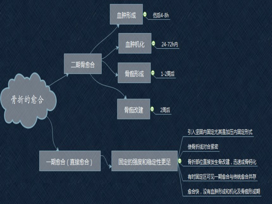 口腔培训046.儿童髁突的骨折愈合_第2页