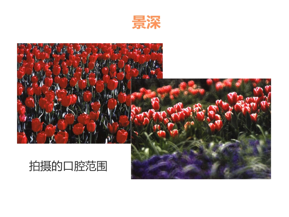口腔培训053.口腔基础摄影_第15页