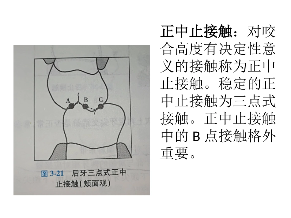 口腔培训057.咬合接触_第12页