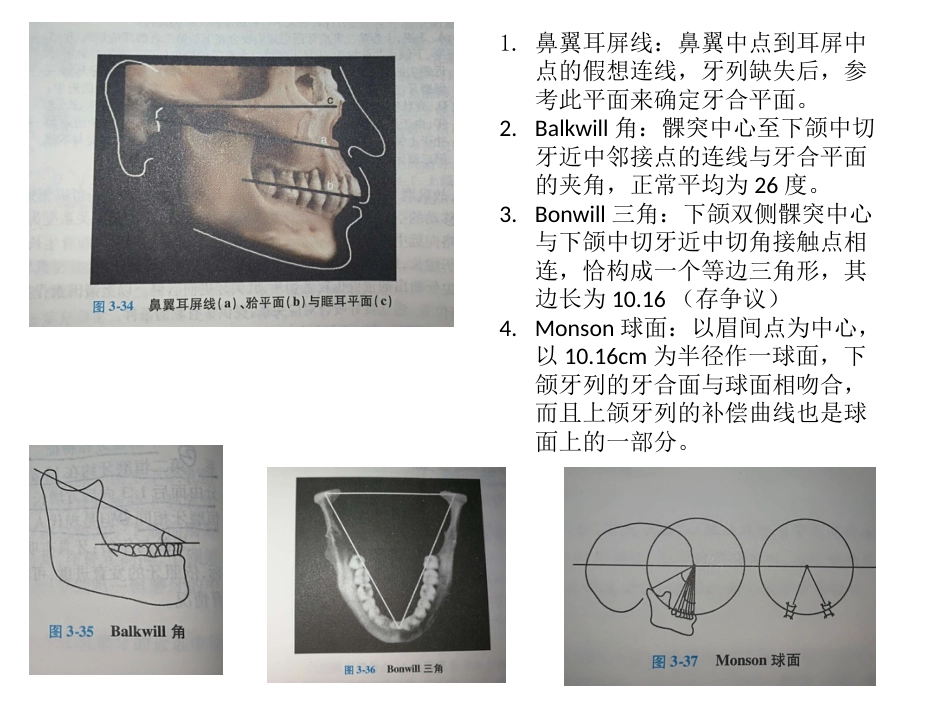 口腔培训057.咬合接触_第5页