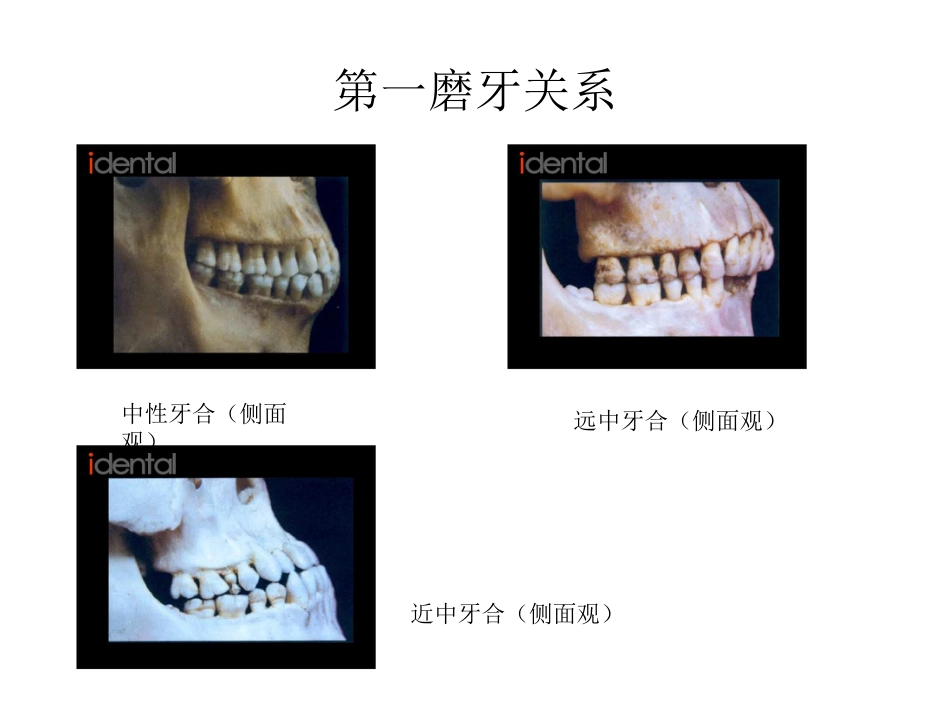 口腔培训057.咬合接触_第9页