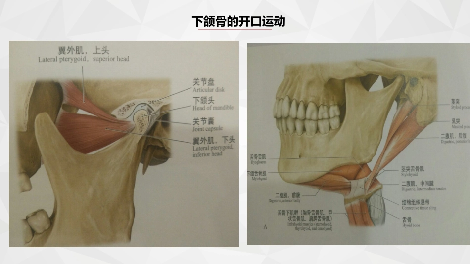 口腔培训063.张口受限_第6页