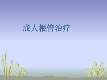 口腔培训064.成人根管治疗