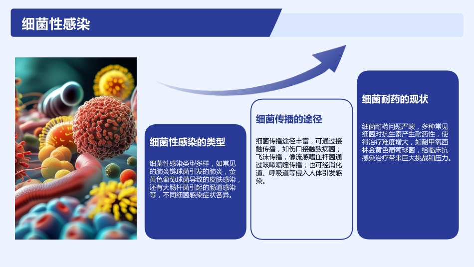 医院感染控制与预防培训2025版PPT_第8页