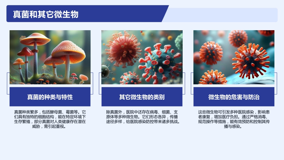 医院感染控制与预防培训2025版PPT课件_第10页