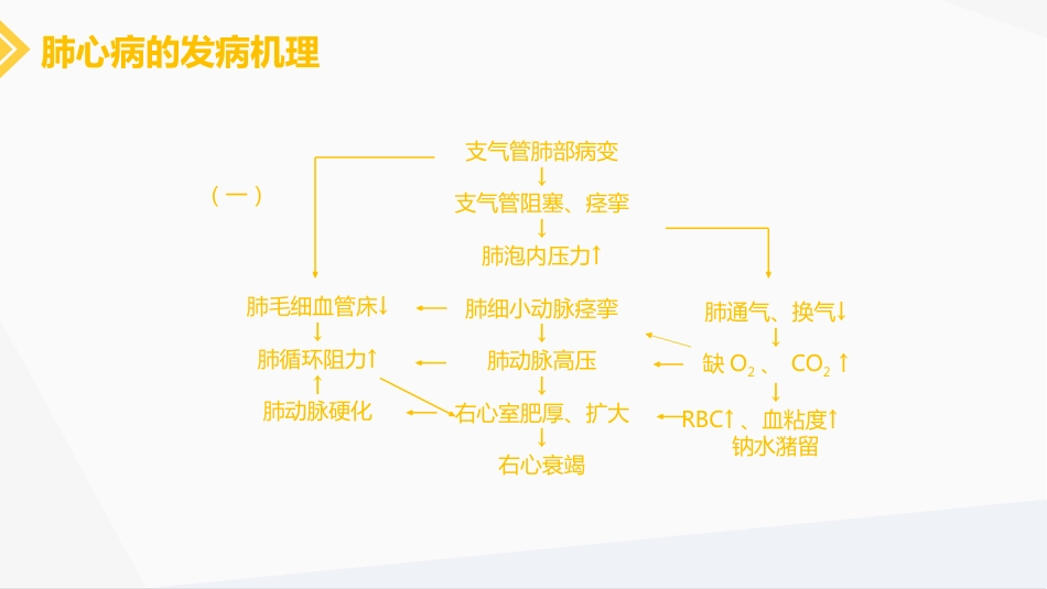 肺源性心脏病病人的护理_第7页