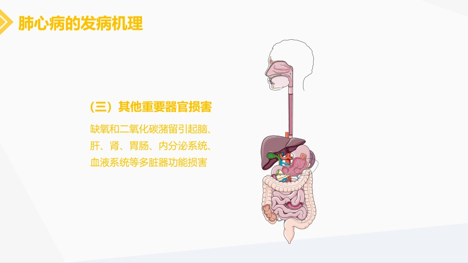 肺源性心脏病病人的护理_第9页