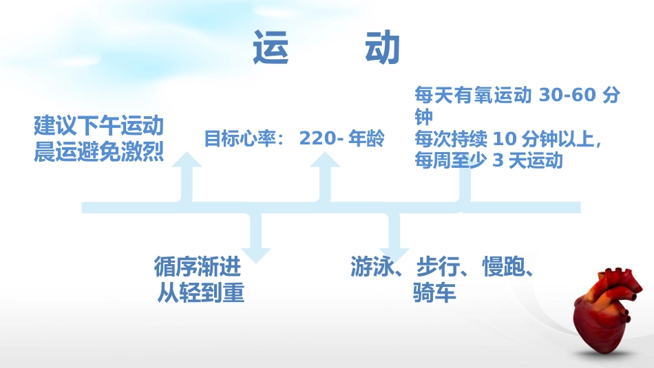 冠脉支架后_第13页