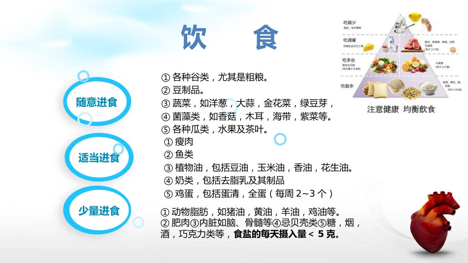 冠脉支架后_第14页
