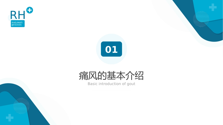 风湿性痛风内科医疗保健医学教程ppt_第3页