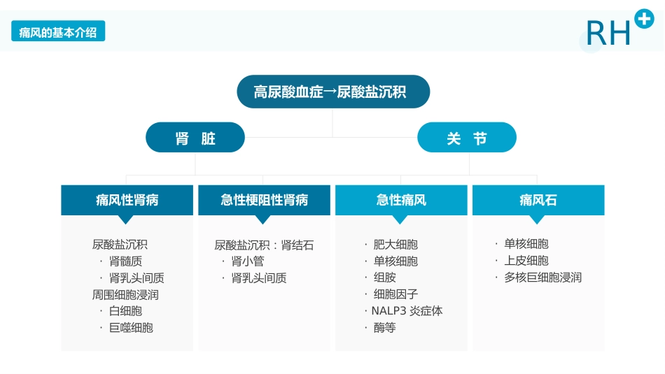 风湿性痛风内科医疗保健医学教程ppt_第7页
