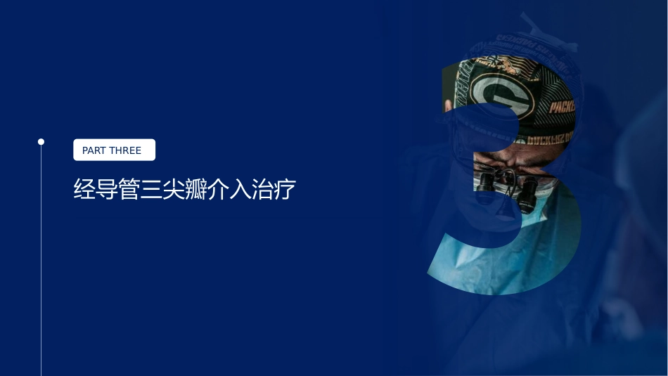 心脏瓣膜病介入治疗的现状与进展_第12页