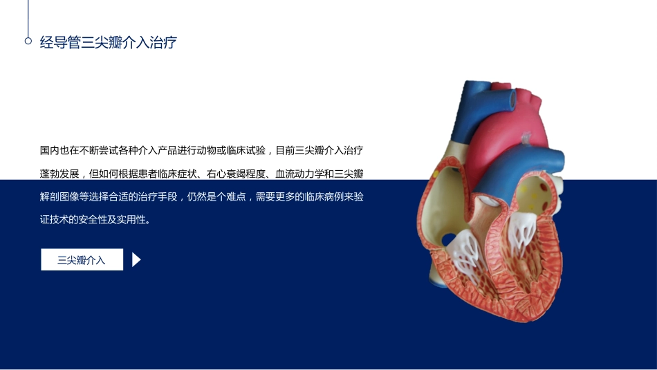 心脏瓣膜病介入治疗的现状与进展_第14页