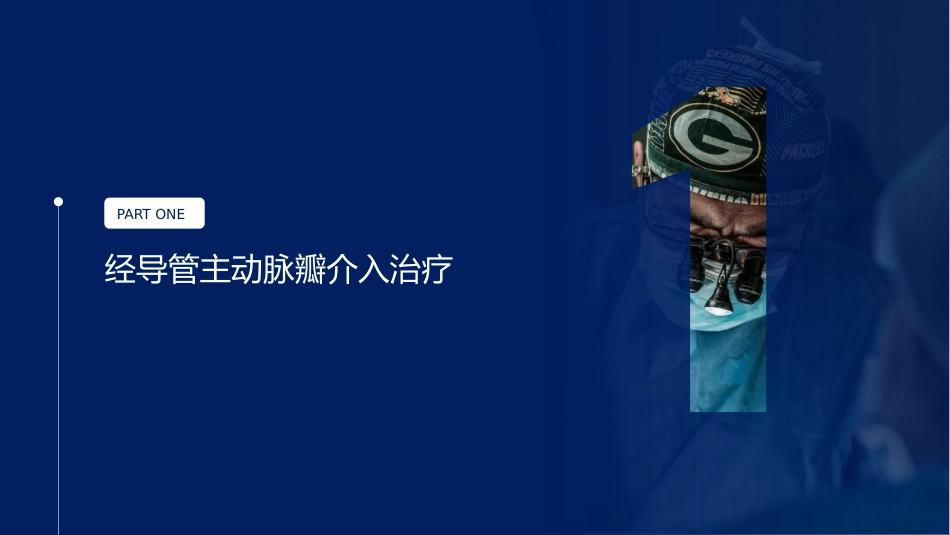 心脏瓣膜病介入治疗的现状与进展_第4页