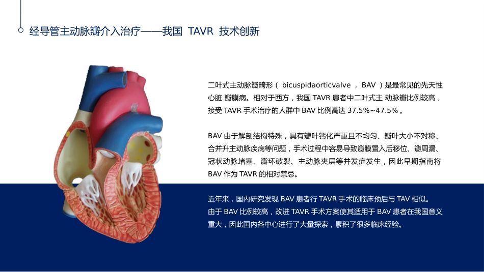 心脏瓣膜病介入治疗的现状与进展_第8页