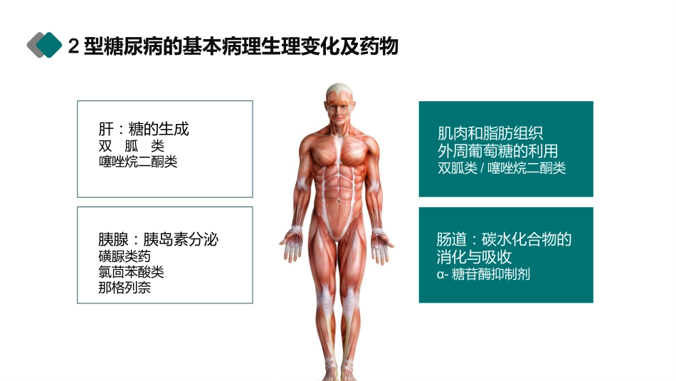 糖尿病健康知识宣教PPT_第15页