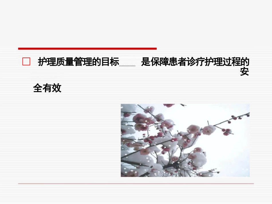 护理质量管理与质量持续改进_第14页