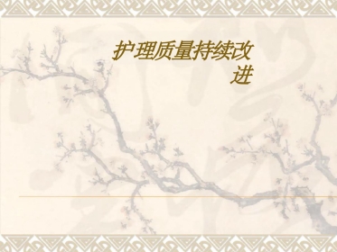护理质量持续改进PPT