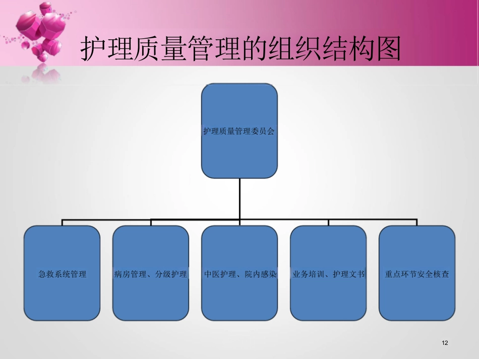 护理质量管理与持续改进ppt_第12页