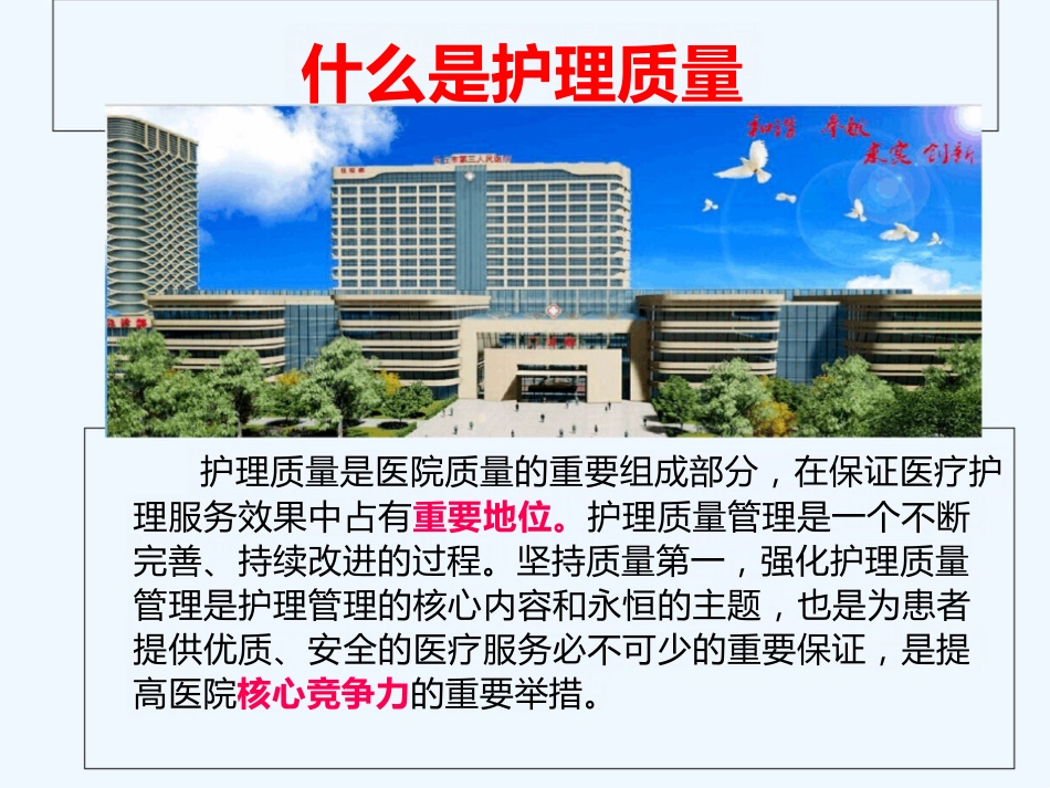 护理质量评价标准及方法 ppt_第5页