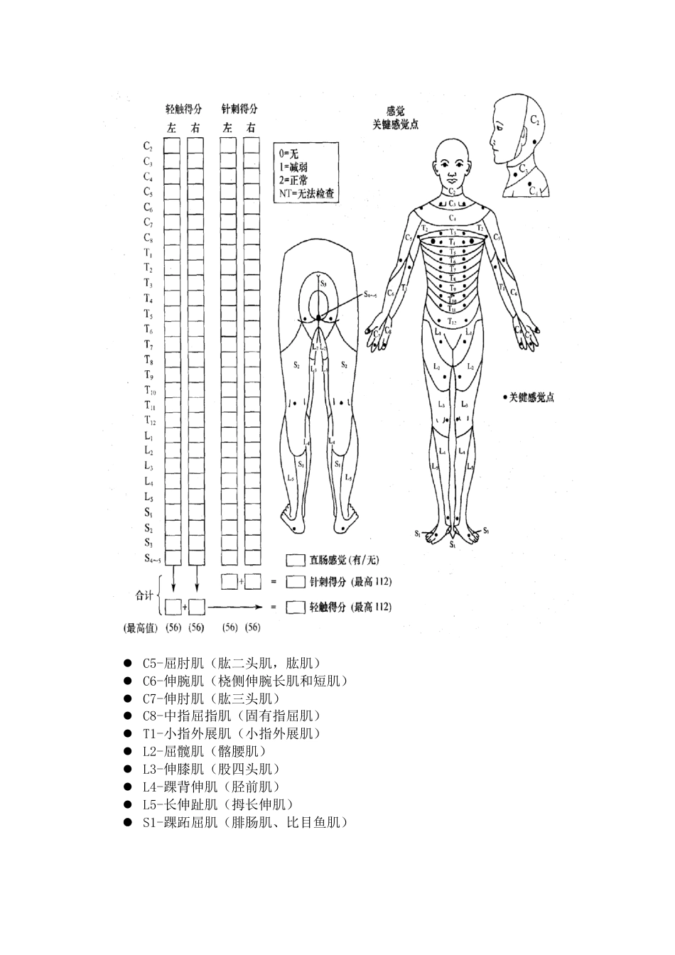 李威制脊髓损伤评定表_第2页