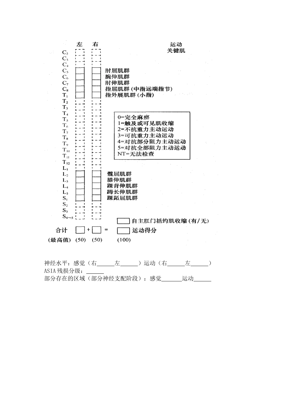 李威制脊髓损伤评定表_第3页