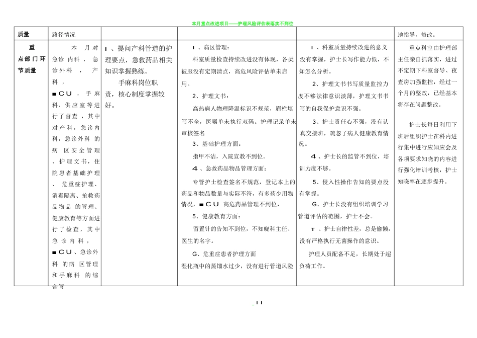 护理质量持续改进表3_第11页