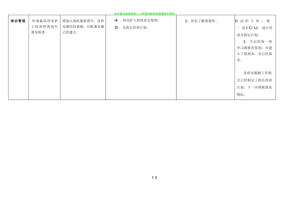 护理质量持续改进表3_第13页