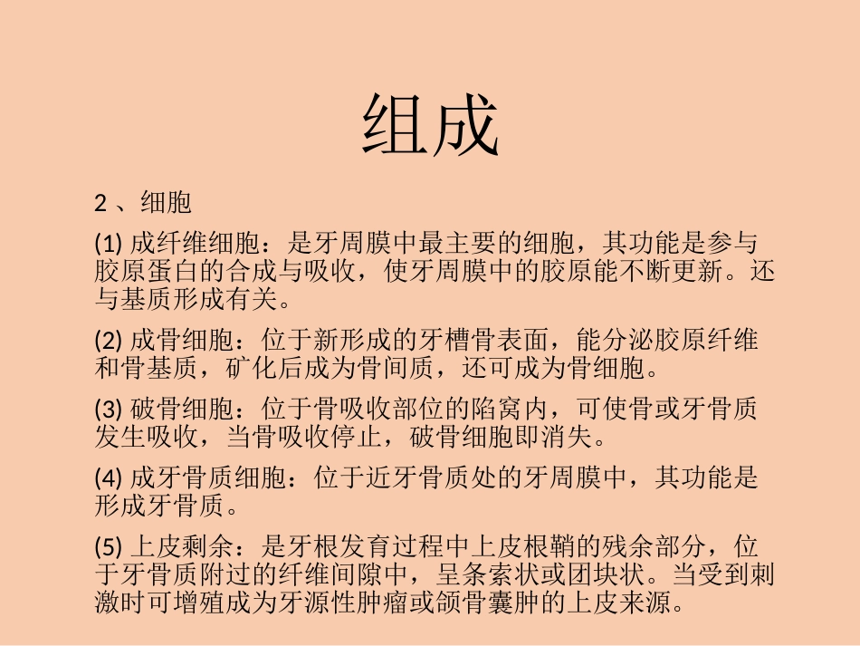 口腔培训100.牙周膜_第3页