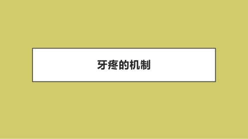 口腔培训102.牙疼的机制