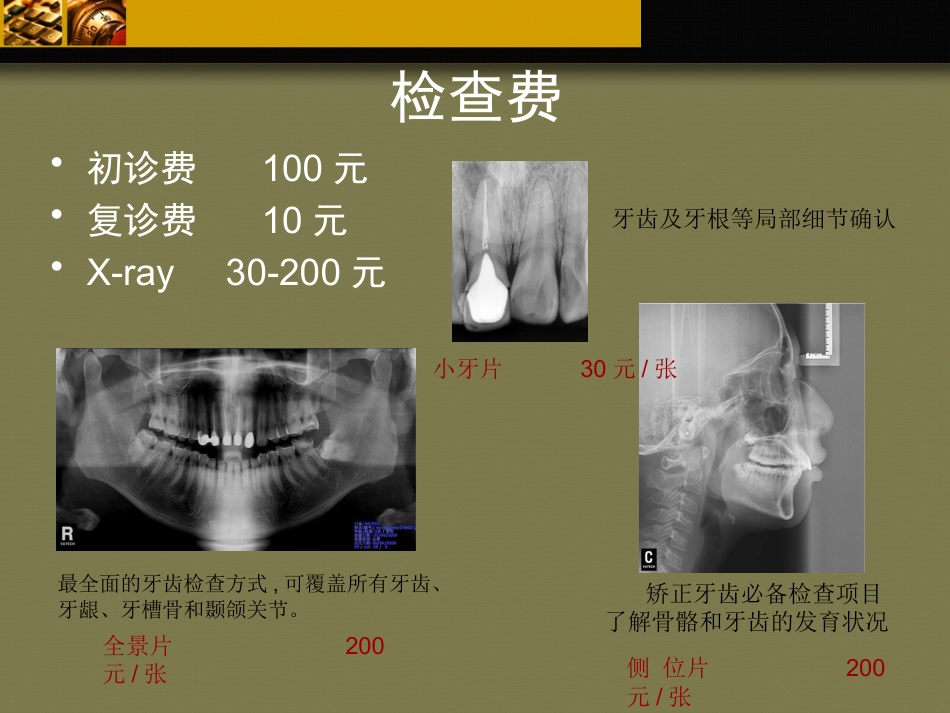 口腔培训103.牙科基本治疗内容介绍_第2页