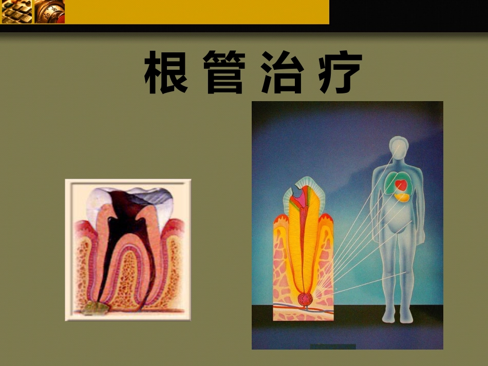 口腔培训103.牙科基本治疗内容介绍_第8页