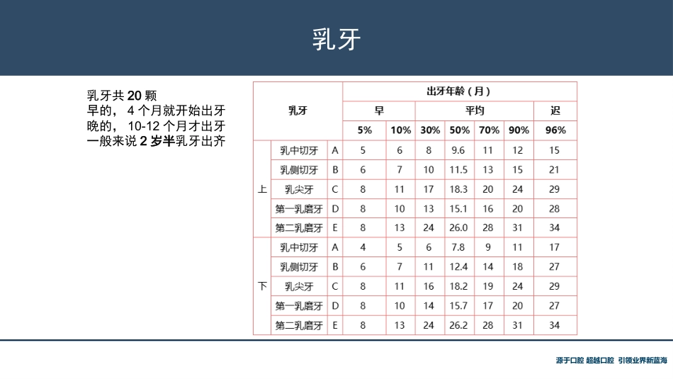 口腔培训118.牙齿基础知识_第11页