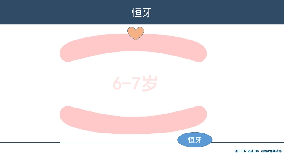 口腔培训118.牙齿基础知识_第12页