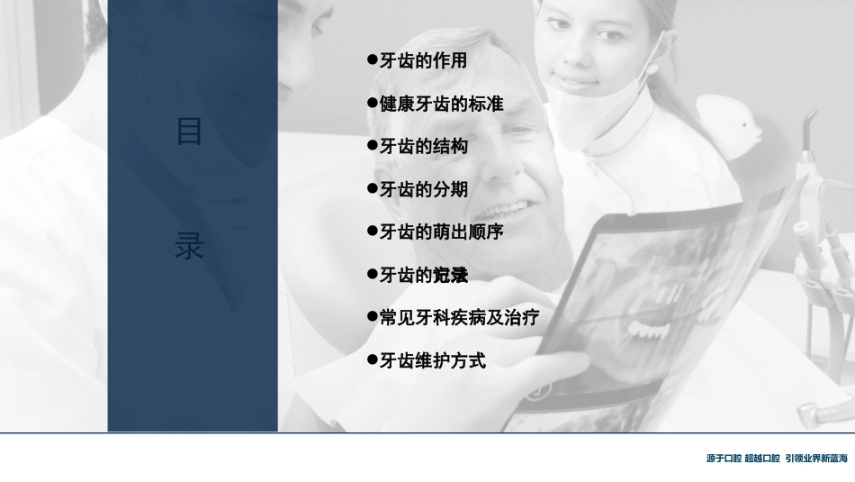 口腔培训118.牙齿基础知识_第2页