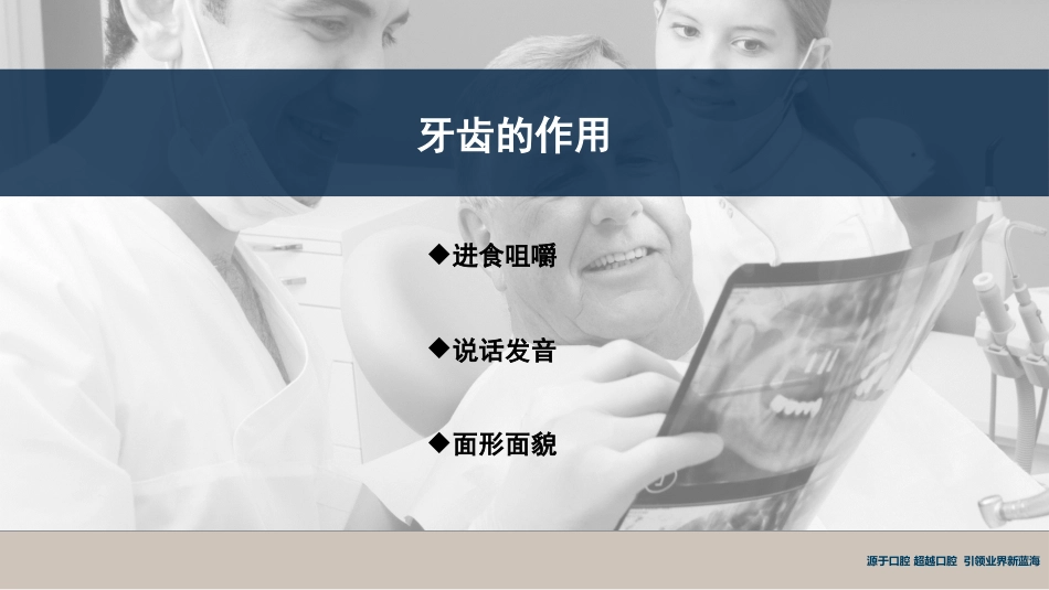 口腔培训118.牙齿基础知识_第3页