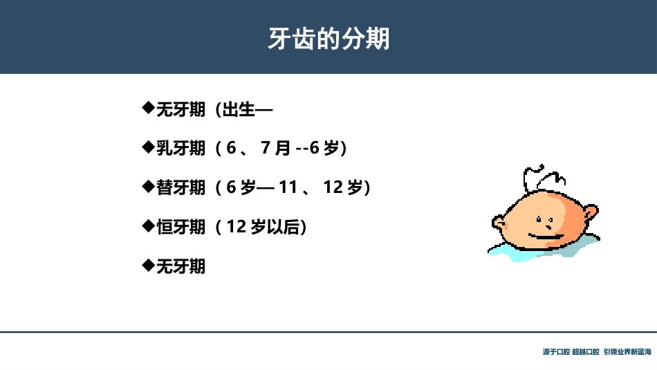 口腔培训118.牙齿基础知识_第6页